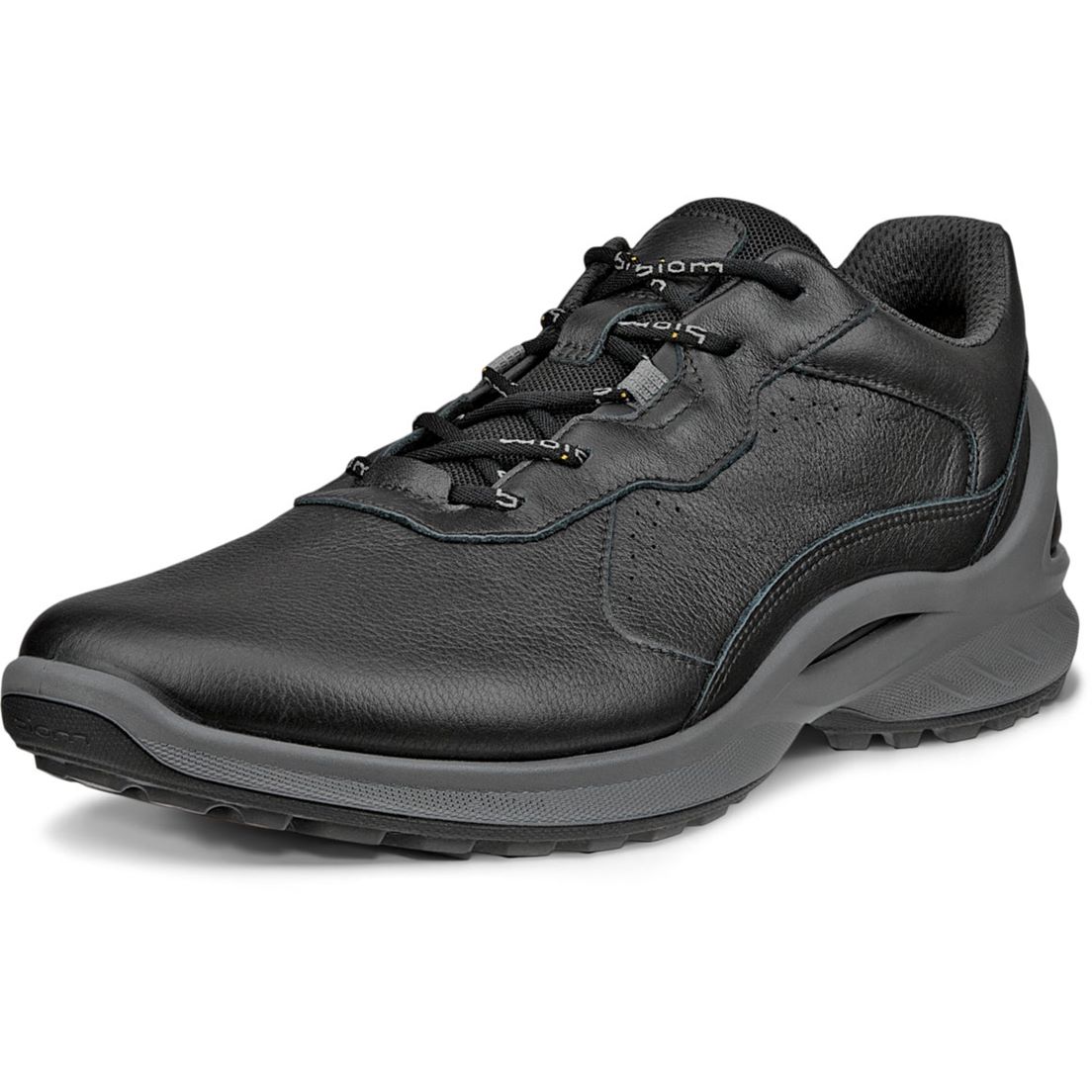 Обувь для мужчин Ecco Biom Energi 850804 01001 E-shoes. Цена